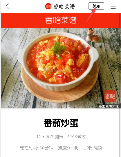 1 1511 - 百度推了个熊掌号，一大批SEO彻夜难眠研究“新套路”