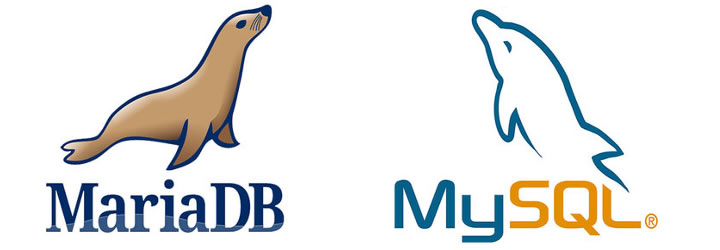 13 - MariaDB/MySQL配置文件my.cnf解读