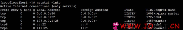 1 153 - CentOS7使用源码编译安装Nginx