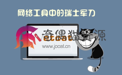 [web安全] 网络工具中的瑞士军刀—Netcat（10课时）