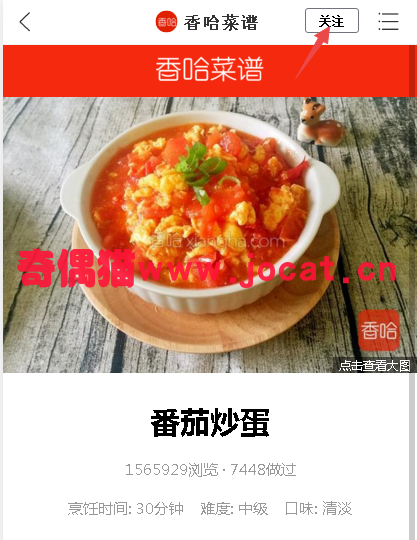 2019021008592246 - [seo]百度推了个熊掌号，一大批SEO彻夜难眠研究“新套路”！