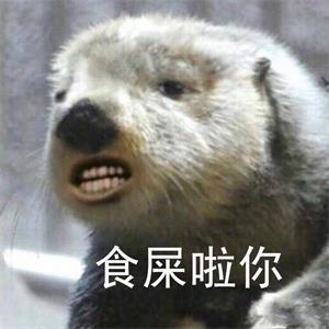 2019021603424769 - SEO搜索引擎优化——被严重低估网络营销核心技能
