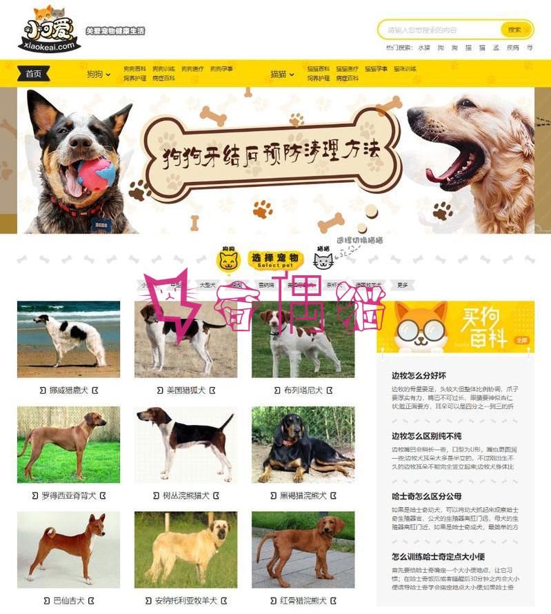 帝国CMS内核仿《小可爱宠物网》宠物资讯平台网站源码完整版+火车头采集