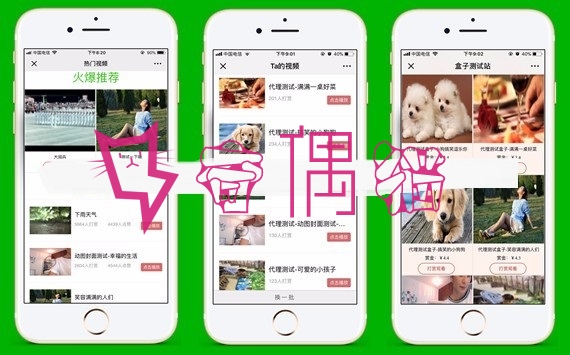 DS正版微信视频打赏源码代理分销系统源代码|全新V15自动检测域名黑白名单