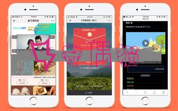 2019061001061251 - DS正版微信视频打赏源码代理分销系统源代码|全新V15自动检测域名黑白名单