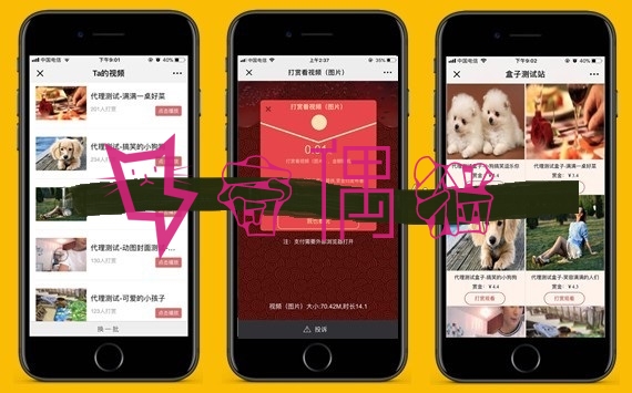 2019061001061315 - DS正版微信视频打赏源码代理分销系统源代码|全新V15自动检测域名黑白名单