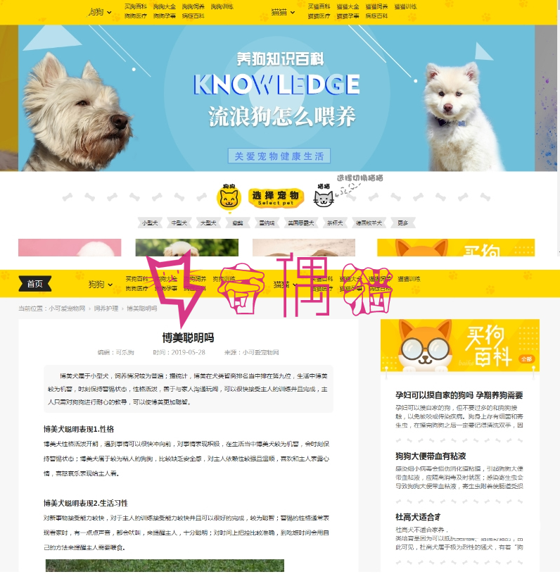2019061704431094 - 96kaifa仿小可爱宠物网完整版源码下载_火车头采集_手机版专业宠物资讯平台源码