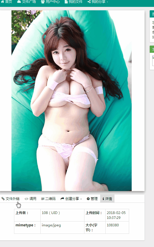 2019110713582659 - 开源免费的外链网盘系统树洞外链v2.4.6源码免费下载