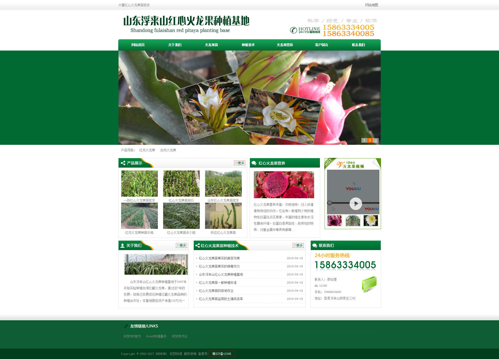 免费织梦dedecms|绿色火龙果水果蔬菜批发网站织梦模板免费下载