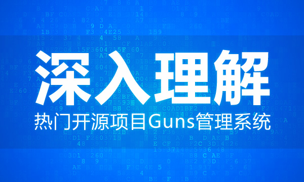 Java框架|深入理解热门开源项目Guns管理系统视频教程