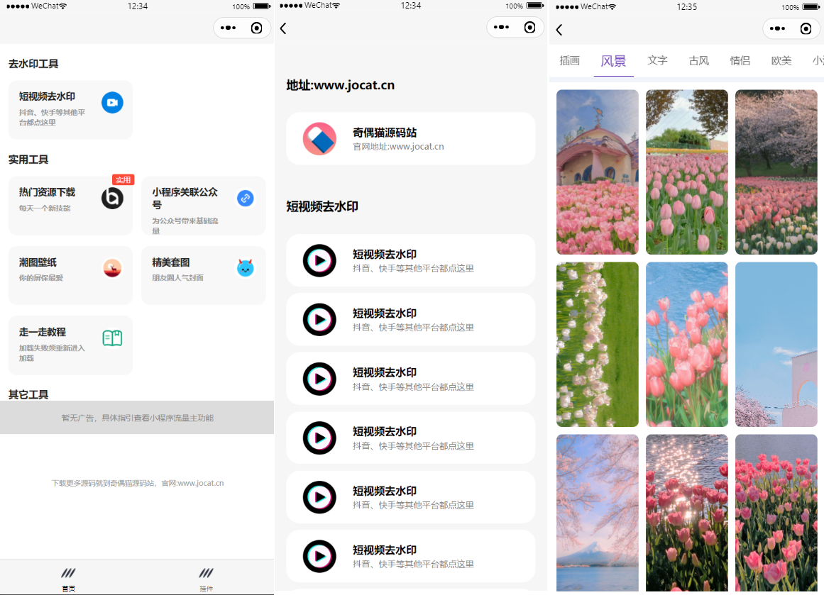 亲测|流量主系列|多接口带头像挂件制作短视频去水印微信小程序源码下载