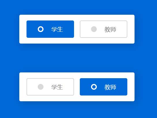 亲测|css3自定义单选按钮美化ui特效素材下载