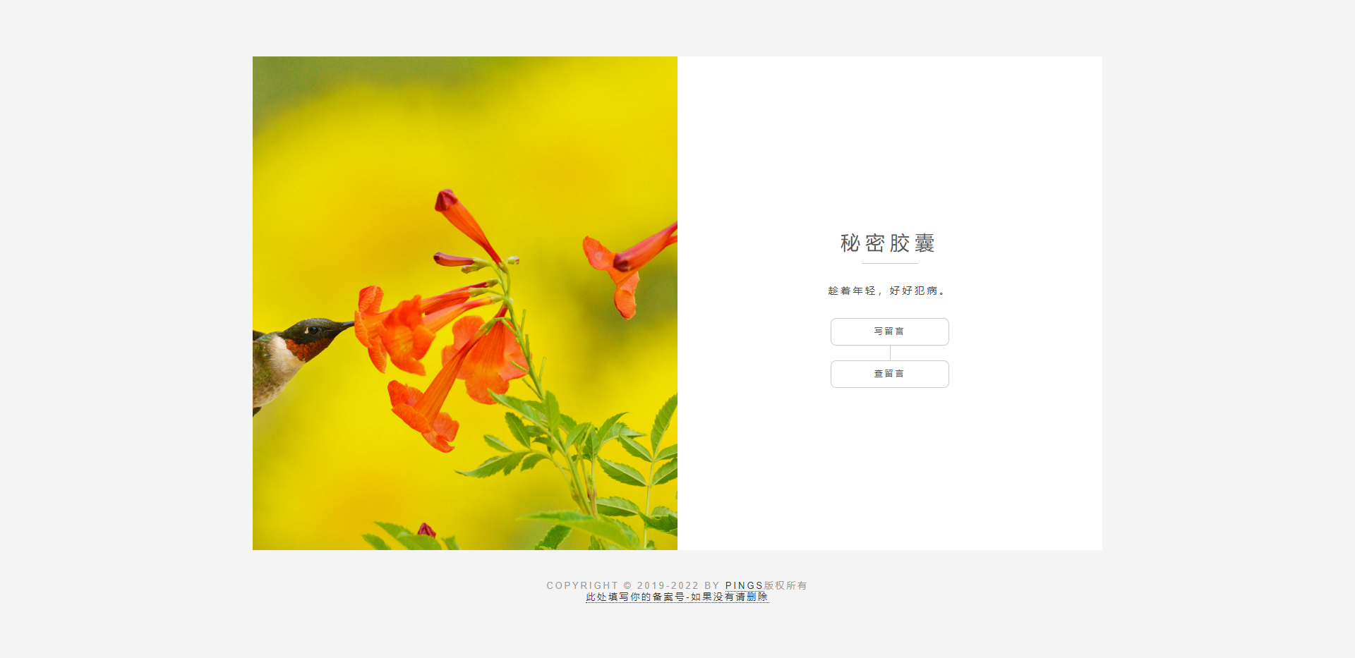 免费|秘密胶囊匿名留言程序开源版源码免费下载