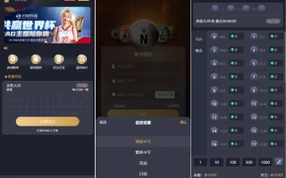 多语言加拿大28源码/飞六美金盘/多玩法追号/前端vue纯源码+后端Java