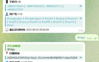 Telegram机器人/NFT资产查询机器人源码/tg机器人源码/带视频搭建教程