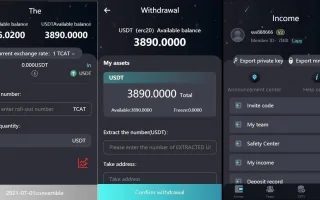H5打包版双语言虚拟系统USDT支付矿机系统生息源码下载