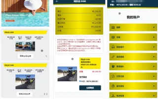 Script_lv海外收藏品投资理财源码下载/前端html+后端PHP