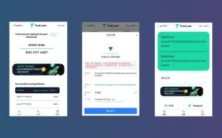 【多语言贷款秒U系统】usdt借贷授权+贷款盗U源码+二开版