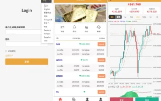海外微交易系统/多语言微盘/外汇交易/时间盘